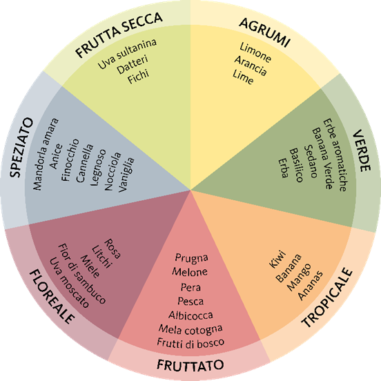 I 3 CRITERI PER DEGUSTARE UNA MELA

