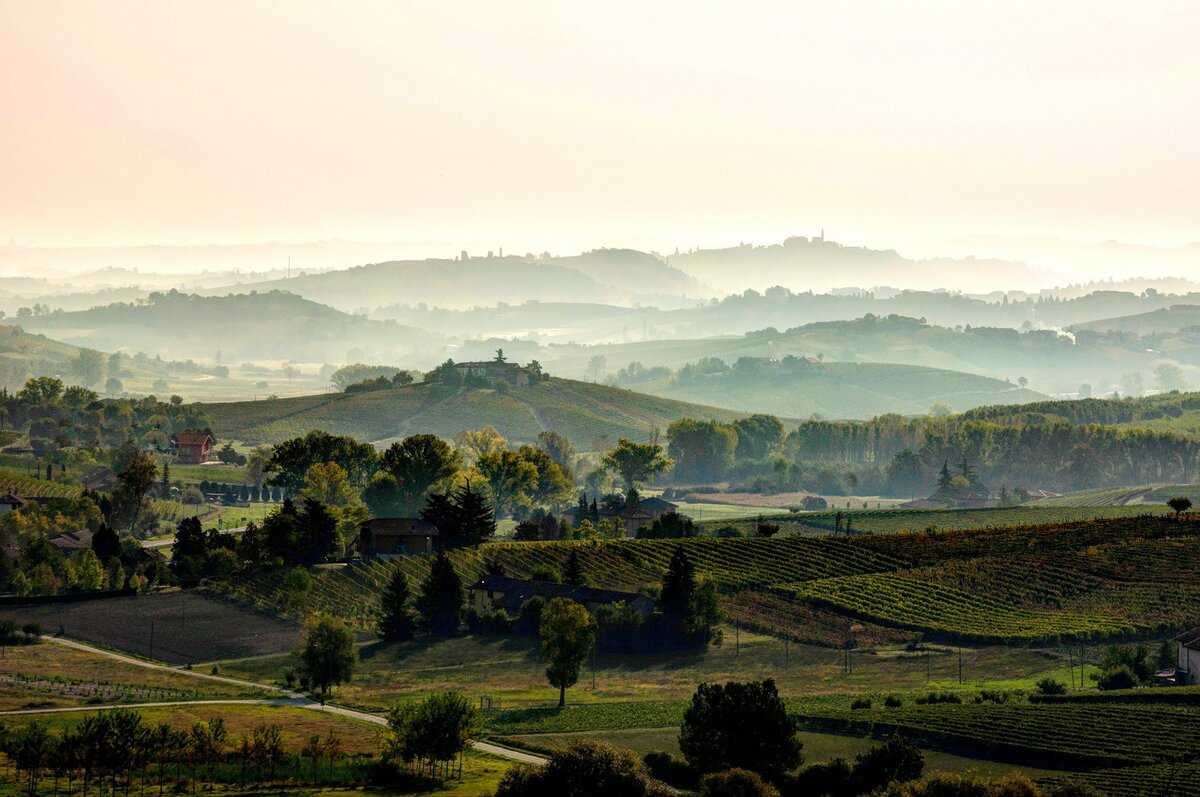 colline vino viti del Consorzio Barbera d’Asti e Vini del Monferrato